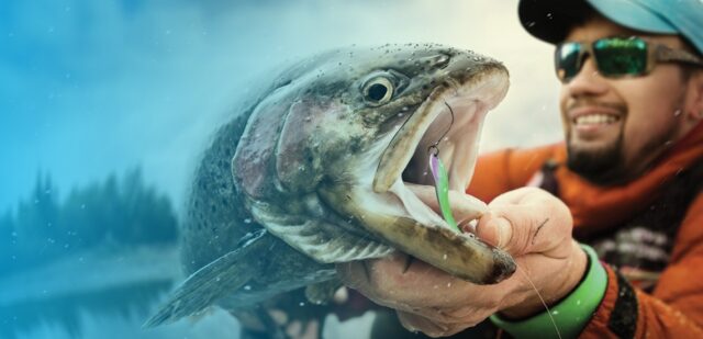 TAS COMP WEB ASSET NEW